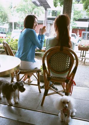愛犬の健康を守る！ロイヤルカナン療法食の選び方と効果ガイド